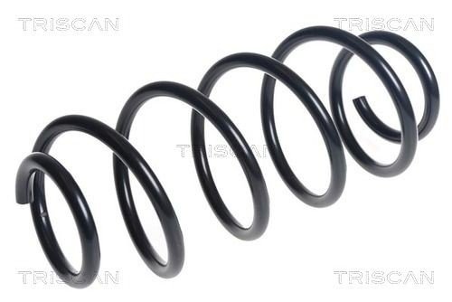 Fjær TRISCAN 8750 25156