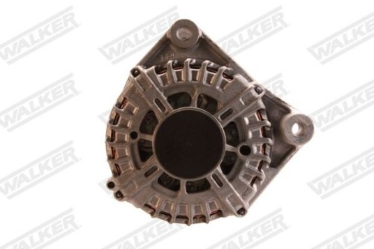 Dynamo WALKER WAL00955