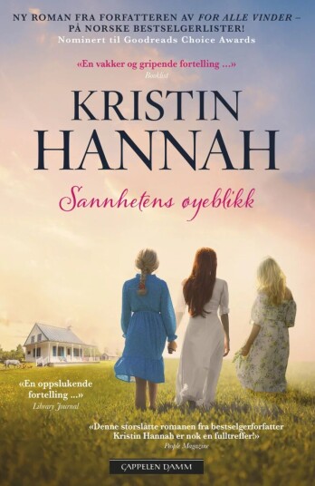 Sannhetens øyeblikk Kristin Hannah Roman