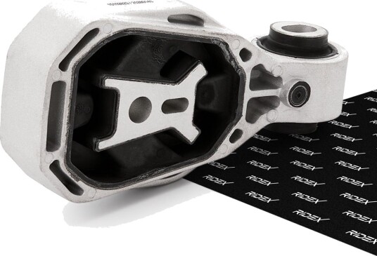 RIDEX 247E1556 Motorfeste