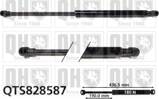 QUINTON HAZELL QTS828587 Baklukedemper