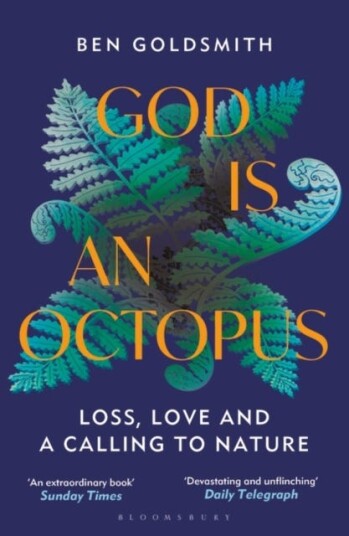 God Is An Octopus Av Ben Goldsmith