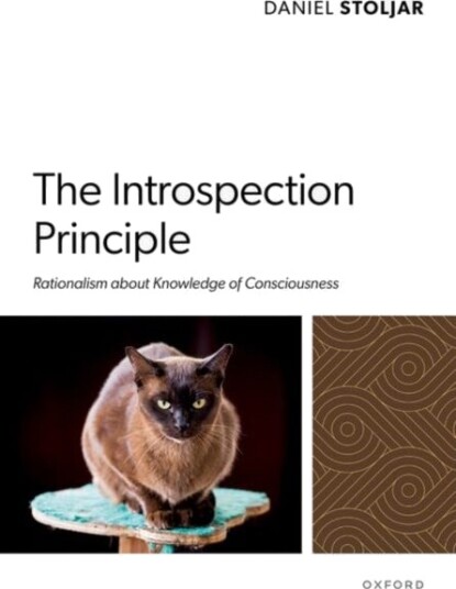 The Introspection Principle The Introspection Principle