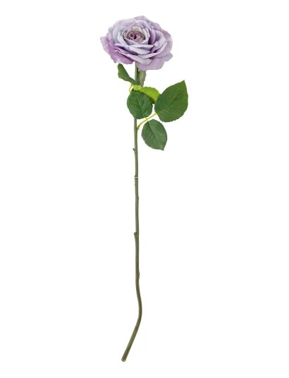 Bloomingville Rose Stem Purple H66CM