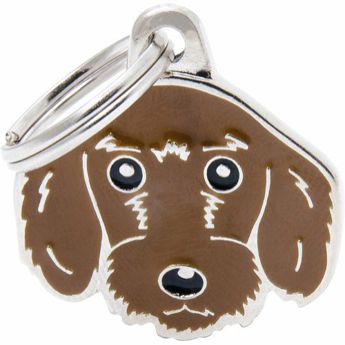Myfamily Dachshund Idtag Brun