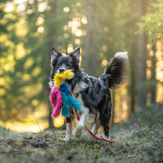 Doggie-Zen Doggie-Zen Blekksprut Hundeleke I Fuskepels 5 Armer 120Cm Doggie-Zen Doggie-Zen Blekksprut Hundeleke I Fuskepels 5 Armer 120Cm