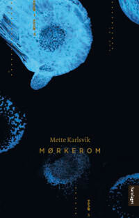 Karlsvik Mette Mørkerom