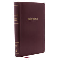 Thomas Nelson KJV Holy Bible, Personal Size Giant Print Reference Bible, Burgundy LeatherLook, 43,000 Cross References, Red Letter, Comfort Print: King James Version