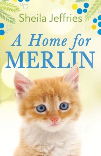 A Home For Merlin Av Sheila Jeffries