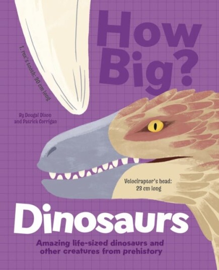 How Big? Dinosaurs  Amazing LifeSized Dinosaurs and Other Creatures from Prehistory