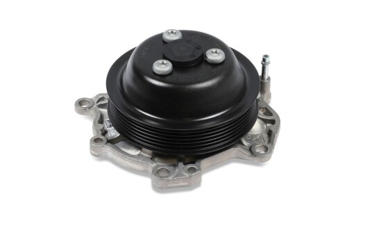 HEPU P695 Vannpumpe