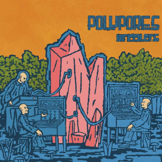 Polypores Wrigglers CD