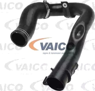 VAICO V24 0709 Ladeluftslange