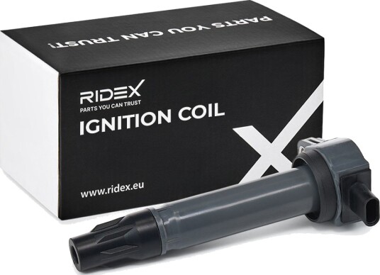 Tennspole RIDEX 689C0169