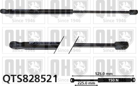 QUINTON HAZELL QTS828521 Baklukedemper