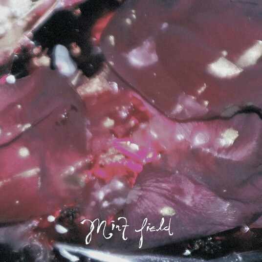 Mint Field  Aprender a Ser  LP/Vinyl