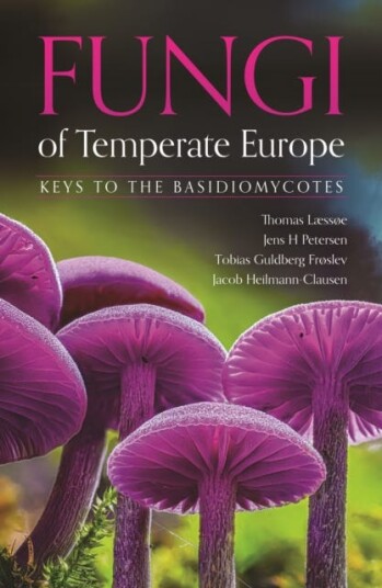 Fungi of Temperate Europe Keys to the Basidiomycotes Fungi of Temperate Europe Keys to the Basidiomycotes