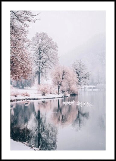 Swans on a Winter Lake Plakat Plakat / 100x150cm