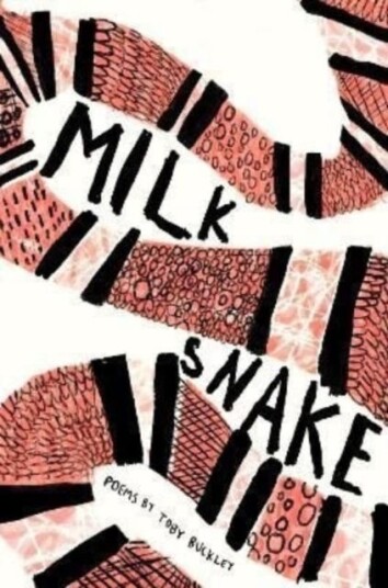 Milk Snake Av Toby Buckley Milk Snake Av Toby Buckley