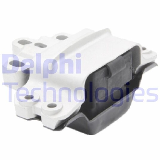 Motorfeste DELPHI TEM196