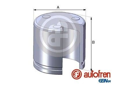 Autofren Seinsa Stempel bremsecaliper AUTOFREN SEINSA D02551