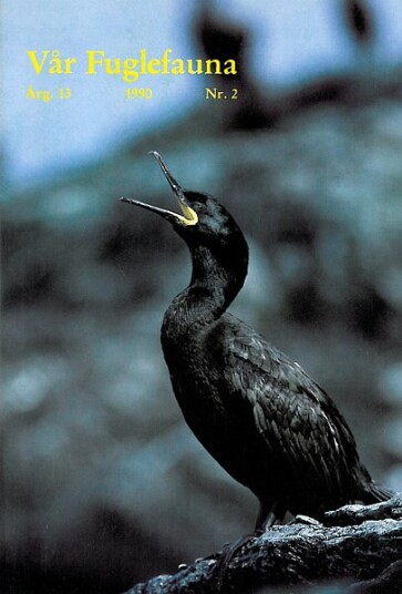Norsk Ornitologisk Forening Vår Fuglefauna   1990 2 årgang 13