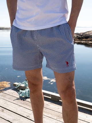 U.S. Polo Assn. Briggs Swimshorts Blå M