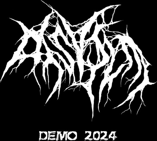 Disvile Demo 2024 CD