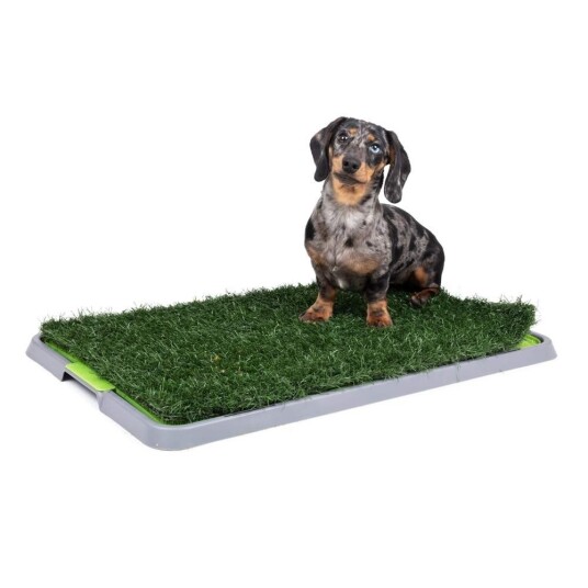 Little&Bigger Indoor Potty Patch