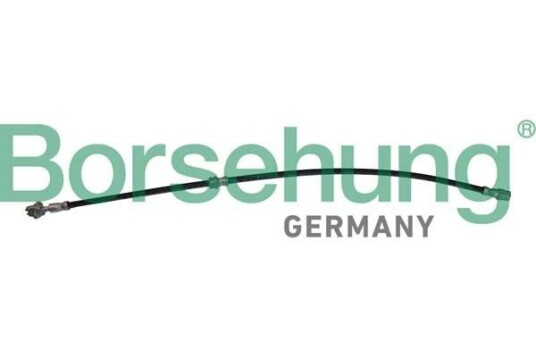 Bremseslange Borsehung B10952