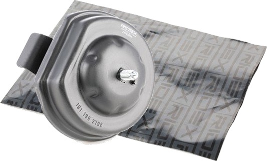 RIDEX 247E0021 Motorfeste