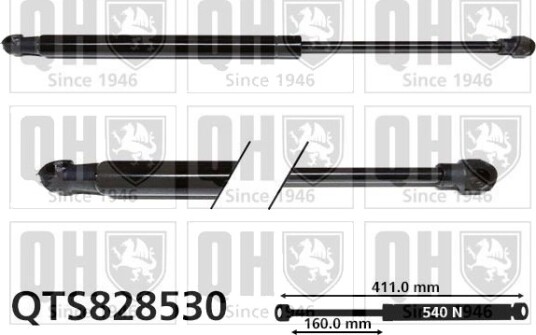 QUINTON HAZELL QTS828530 Baklukedemper