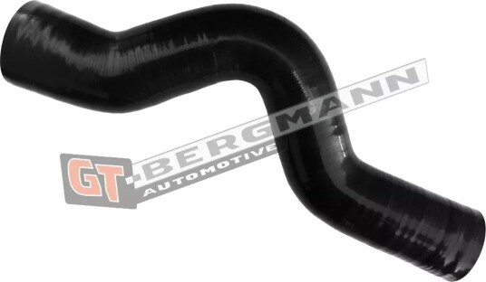 GT BERGMANN GT52 687 Ladeluftslange