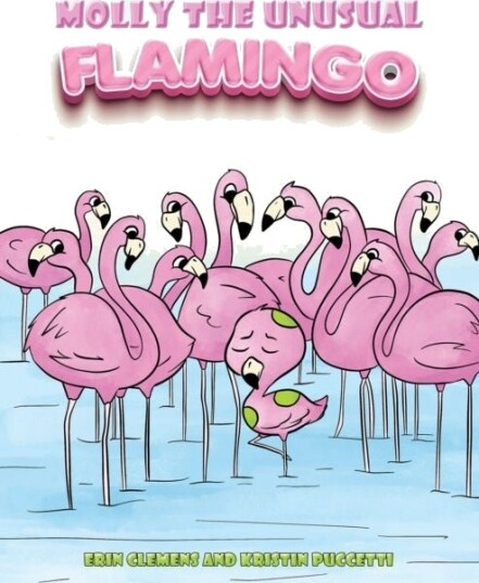 Molly the Unusual Flamingo