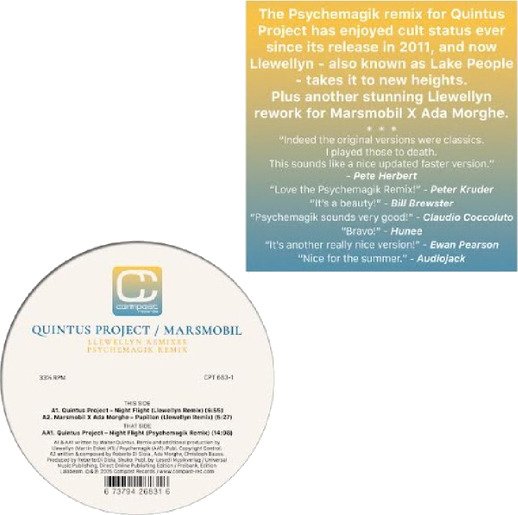 Quintus Project Llewellyn Psychemagik Remixes Vinyl