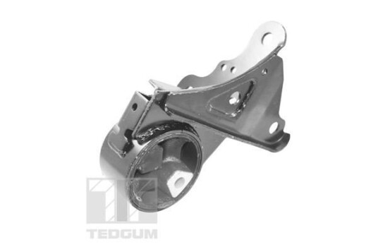 Motorfeste TEDGUM 00131530