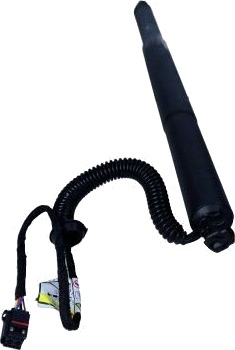 MAXGEAR 12-2555 Gassfjær, bunn (bagasje- / lasterom)
