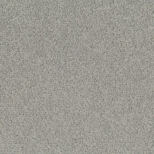 Teppeflis   DESSO Palatino   A072 1318
