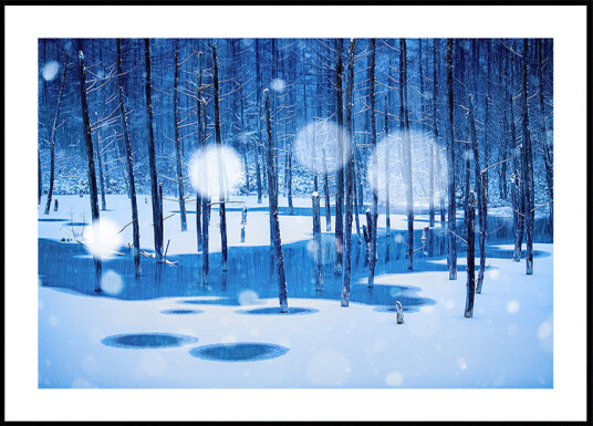 Fairyland Plakat Plakat / 21x30cm