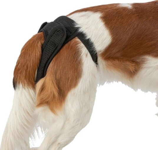 Trixie Comfort Tispetruse I Mesh Svart (L) Trixie Comfort Tispetruse I Mesh Svart (L)