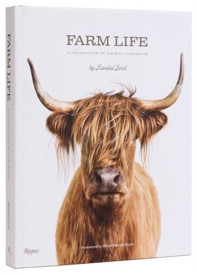 Farm Life A Collection of Animal Portraits