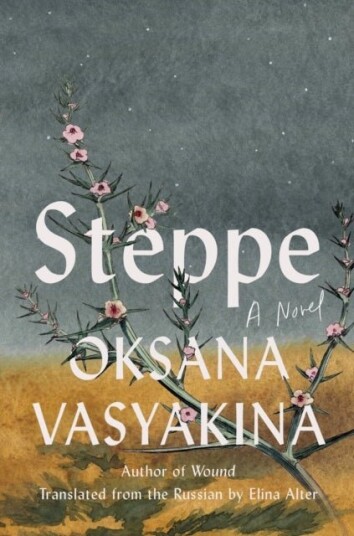 Steppe Steppe