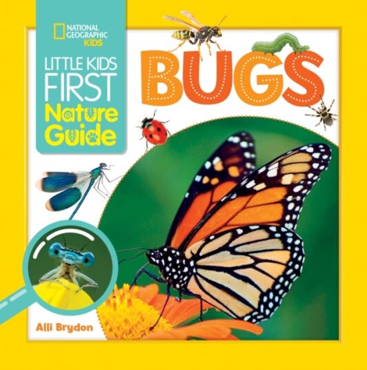 Little Kids First Nature Guide Bugs Av National Geographic Kids Little Kids First Nature Guide Bugs Av National Geographic Kids
