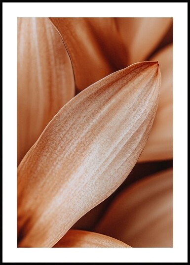 Amber Petal Elegance Plakat / 30x40cm