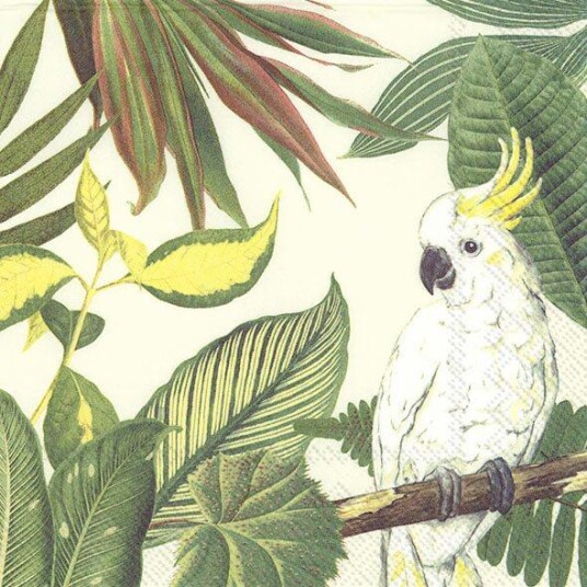 Ihr Servietter Lunsj Cockatoo