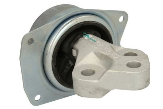 Motorfeste REINHOCH RH11-5093