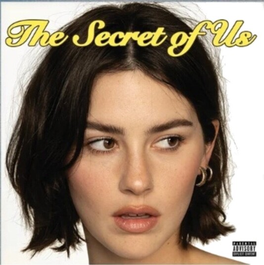 Secret Of Us Vinyl