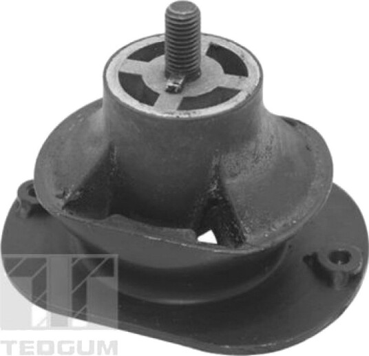 Motorfeste TEDGUM TED40521