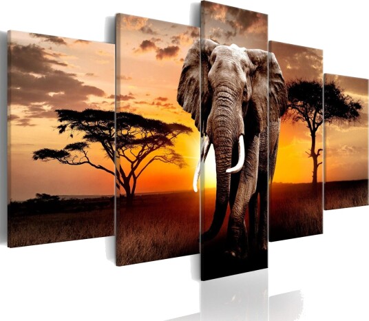 Bilde Elephant Migration 200x100 Artgeist sp. z o. o.