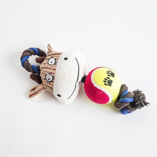 Ku Draleke Med Tennisball